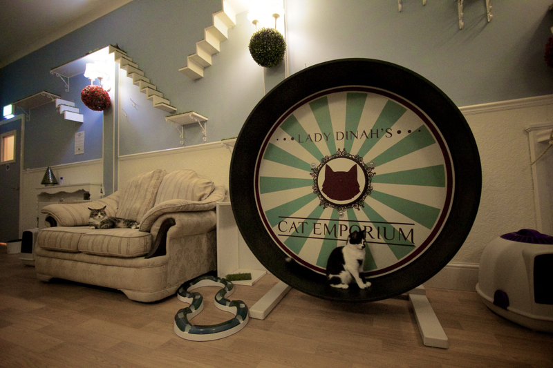 Illustration for article titled Lady Dinah's Cat Cafe opened in London